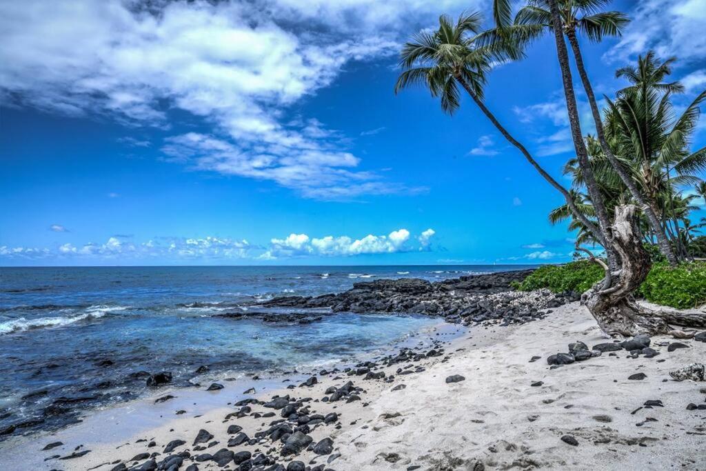 Newly Upgraded 1Br Unit Near Beach Max Of 5 Guests Kailua-Kona Dış mekan fotoğraf