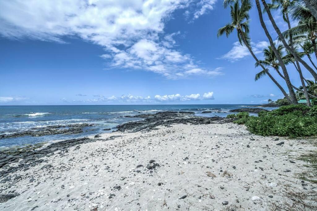 Newly Upgraded 1Br Unit Near Beach Max Of 5 Guests Kailua-Kona Dış mekan fotoğraf