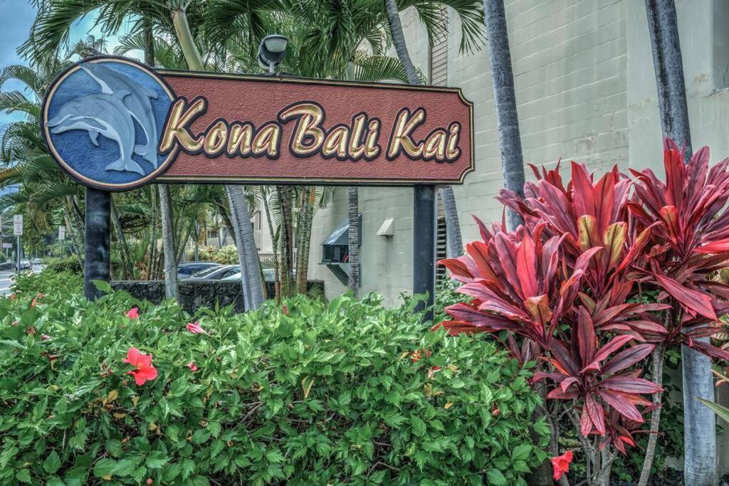 Newly Upgraded 1Br Unit Near Beach Max Of 5 Guests Kailua-Kona Dış mekan fotoğraf