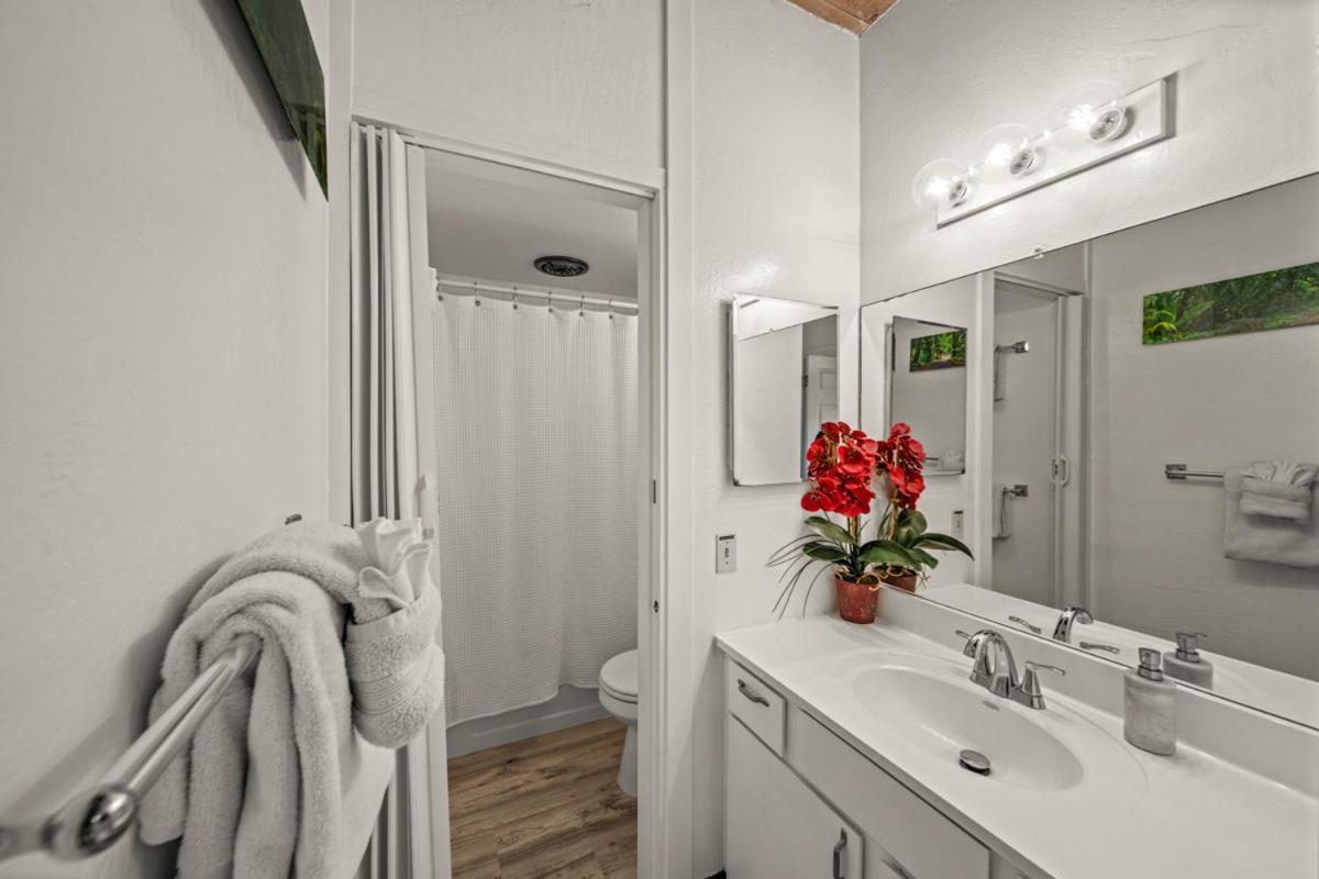 Newly Upgraded 1Br Unit Near Beach Max Of 5 Guests Kailua-Kona Dış mekan fotoğraf